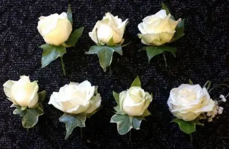 Rose Buttonholes