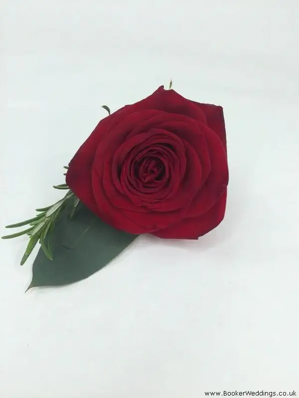 Dark Red Rose Buttonhole for Wedding Guests