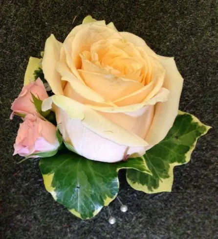 Peach Rose Grooms Buttonhole