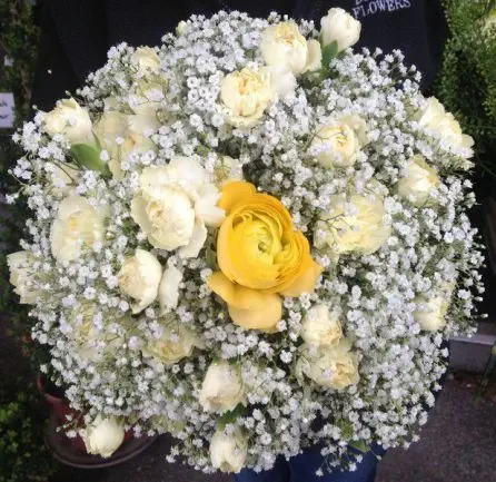Yellow and White Ranunculus Carnation and Gipsofila Bridesmaids Bouquet