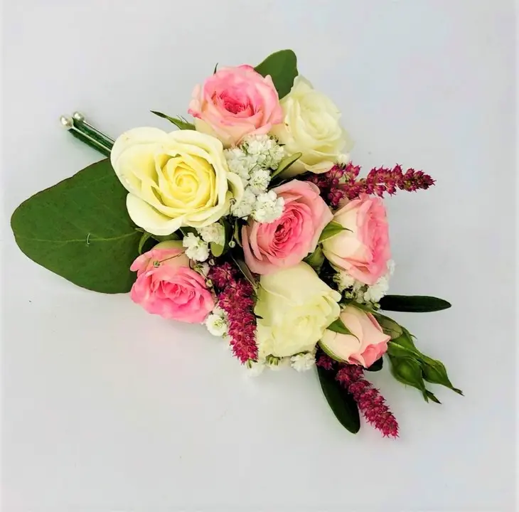 Cream / Pink