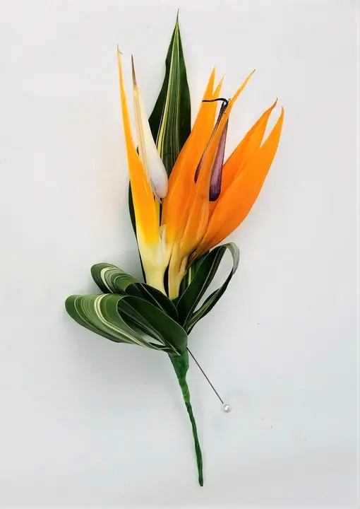Tropical Buttonhole Birds of Paradise