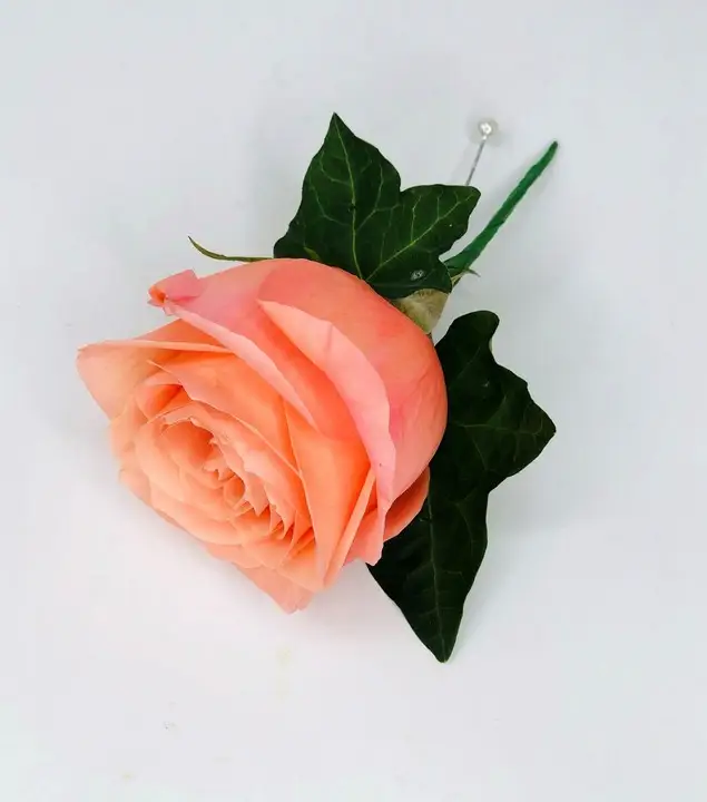 Peach