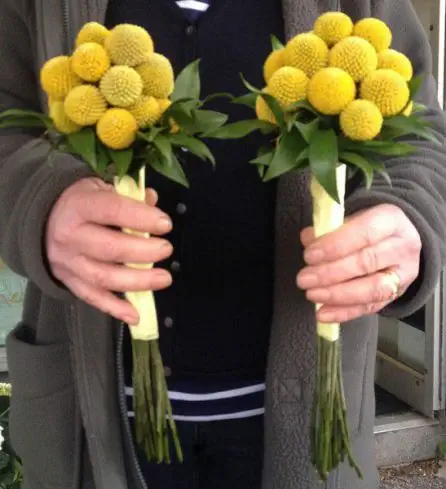 Craspedia Bridesmaid Bouquet