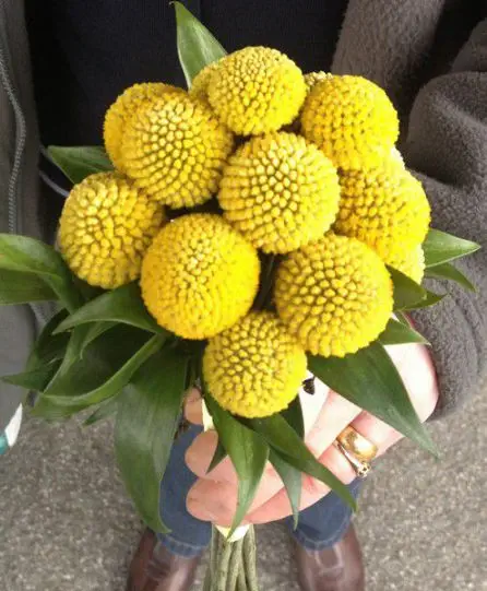 Craspedia Bridesmaid Bouquet