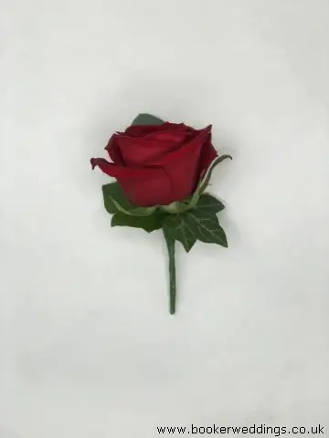 Red Rose Buttonhole