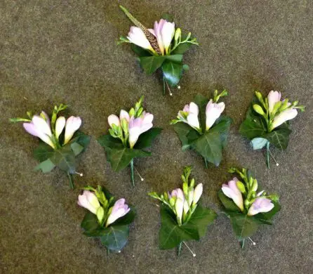 Freesia Buttonholes