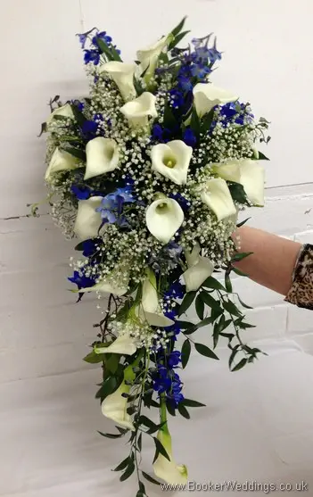 Bridal teardrop shower bouquet featuring white calla lillies, blue delphinium and gypsy grass front view