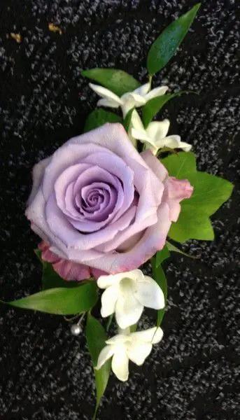 Lilac rose and stephanotis corsage