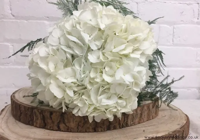 Bridesmaid Handtied Hydrangea With Asparagus Fern Collar